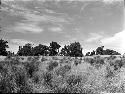 Landscape of field and sky