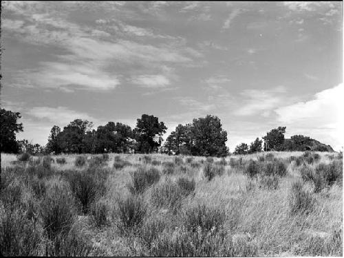 Landscape of field and sky