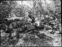 Man sits on pile of rocks