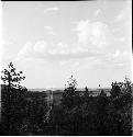 Landscape of trees and sky