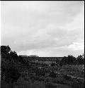 Landscape of field and sky