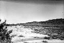 Dune Ridge in the Oraibi Valley