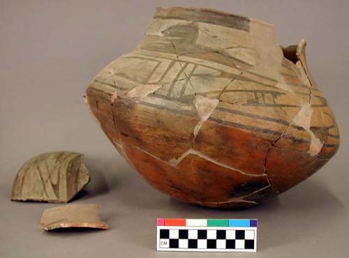 Ceramic jar, polychrome exterior, heavily reconstructed, sherds inside