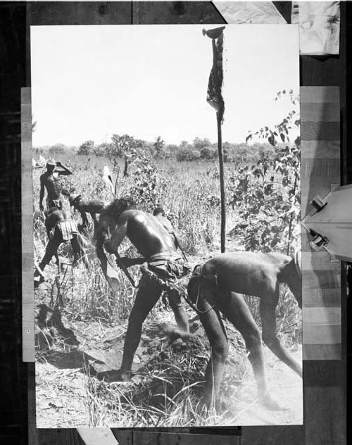 Young farmers at work