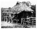 Natives posed in front of Bagobo house