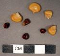 Floral remains, 4 yellow and 4 red kernels
