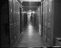 Long hallway lined with storage cabinets, Peabody Museum, 1967