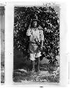 Man carrying leafy branches