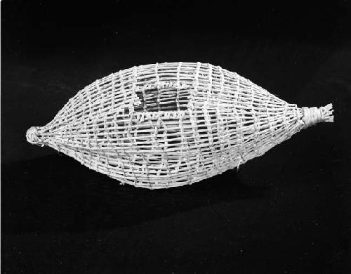 Willow basket fish trap