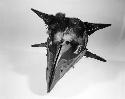 Bird mask; raven sun clan made with beak in four parts; quax emlh