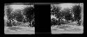 Stereo glass slides of Siam; unidentified landscape scene