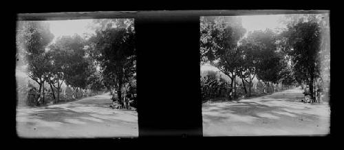 Stereo glass slides of Siam; unidentified landscape scene