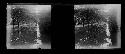 Stereo glass slides of Siam; unidentified landscape of  pathway of trees