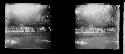 Stereo glass slides of Siam; unidentified landscape of trees