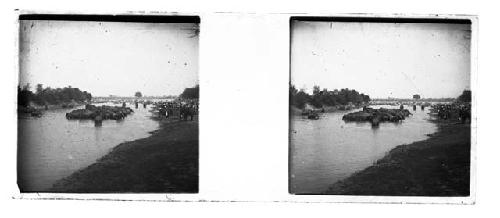 stereo glass slides of Siam; elephants in river, people on shore watching