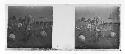 stereo glass slides of Siam; men digging dirt mounds