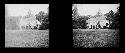 stereo glass slides; rural house in front of field