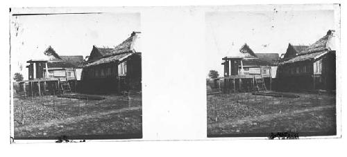 stereo glass slides; dwellings on stilts with garden in foreground