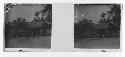 stereo glass slides; village people gathered outside rural structure or house