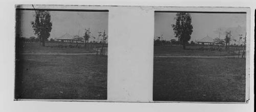 stereo glass slides; CRACKED PLATE, field with animals and tent in background