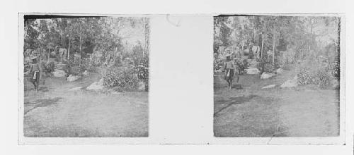 stereo glass slides; worker in hat hauling buckets on forested footpath