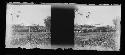 stereo glass slides; field with structure in background