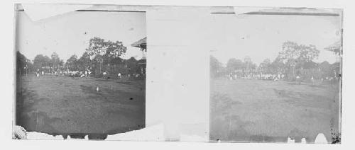 stereo glass slides; field with people in background