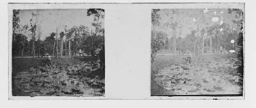 stereo glass slides; man carrying water buckets next to drained pond