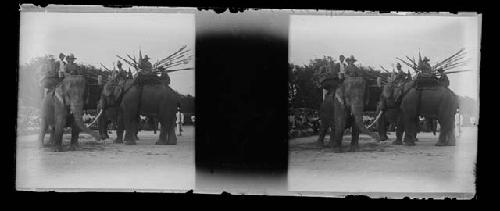 stereo glass slides; workers riding elephants