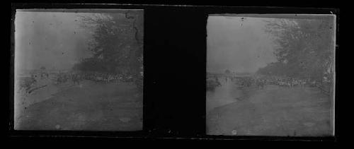 stereo glass slides; faded image of elephants in background