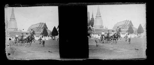 stereo glass slides; horse jumping