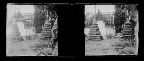 stereo glass slides; temple structures with cows in foreground