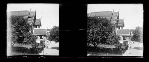 stereo glass slides; obscured view of structure with ornate roof