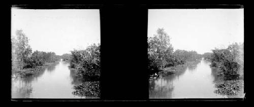 stereo glass slides; river scene framed by trees