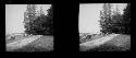 stereo glass slides; park benches, trees in background