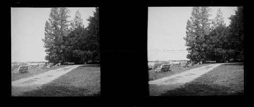 stereo glass slides; park benches, trees in background