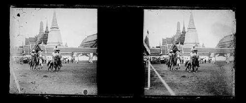 Stereo glass slides; people with animals in field