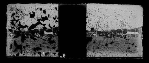 stereo glass slides; PEELED EMULSION blurry view of people with animals i