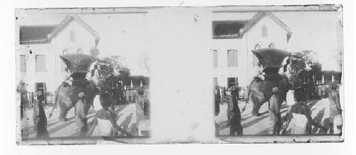 Stereo glass slides of Siam; elephant  carrying carriage