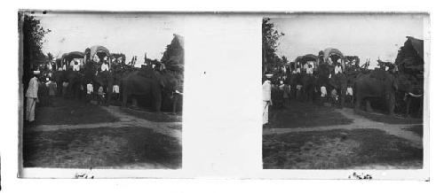 Stereo glass slides of Siam; group of elephants transporting people