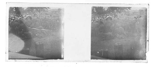 Stereo glass slides of Siam; herd of elephants in foreground