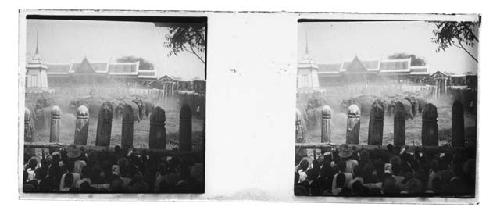 Stereo glass slides of Siam; elephants in captivity, people watching