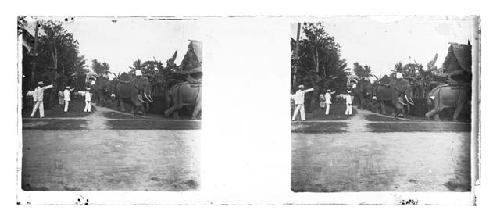 Stereo glass slides of Siam; men saluting as elephants walk by