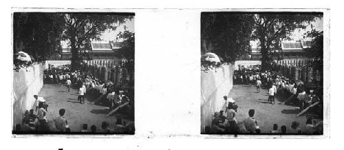 Stereo glass slides of Siam; people on city street following elephants?