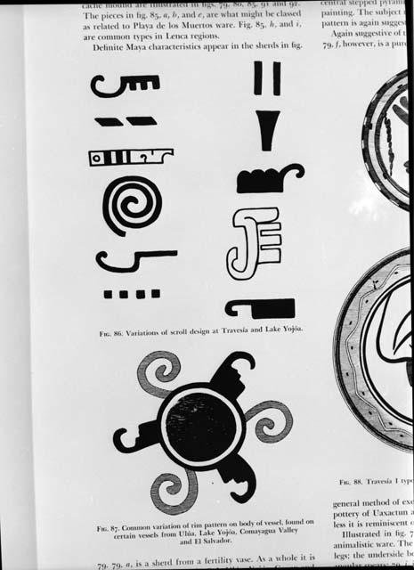 Scroll design, reproduced from book, "Pre-Columbian Man"