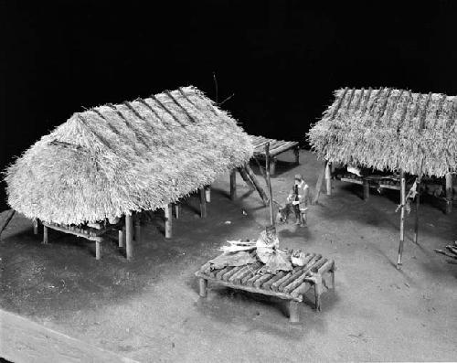 Model of House Group of the Seminole Indians
