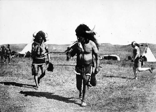 Arikara buffalo ceremony