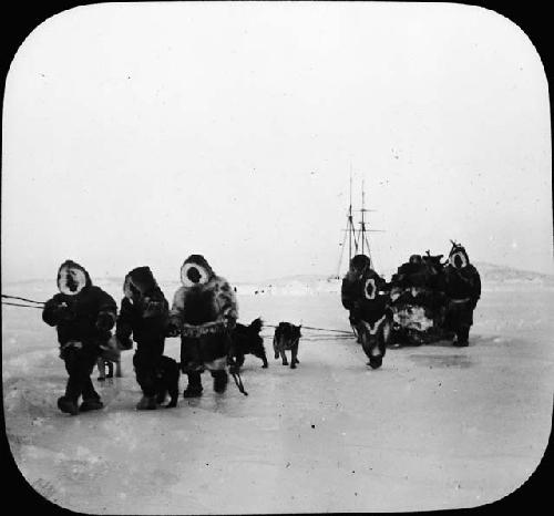 Group Traveling With Huskies and Sled.