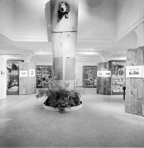 Tlingit Aanee exhibit 1974