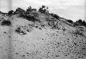 Dune on the Antelope Mesa